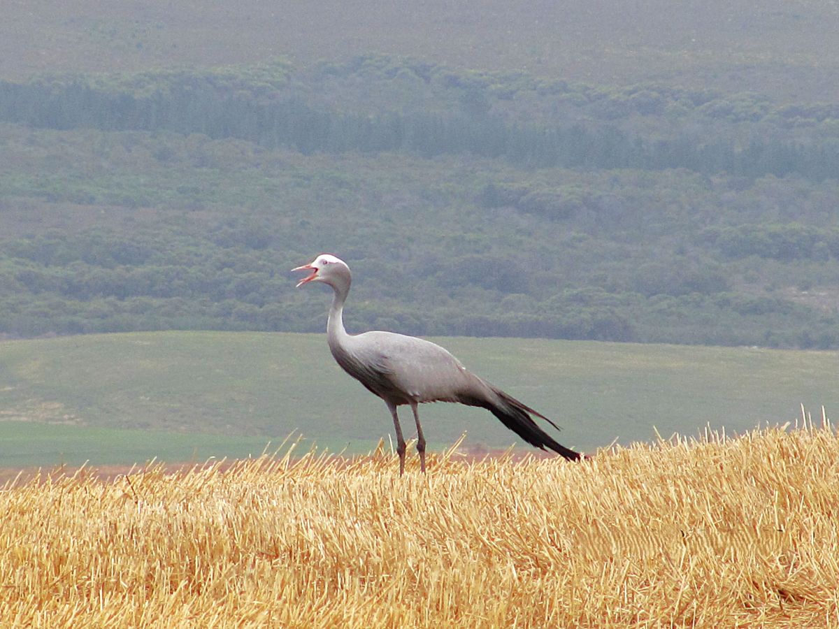 Previsões do tempo com lindas fotos de Step_Gently