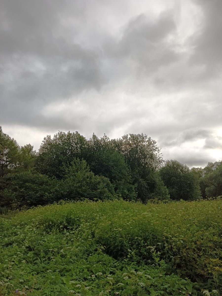 Photographer Amanda_and_Valdemar_Che, Weather Photos in Izmaylovo District - Weawow