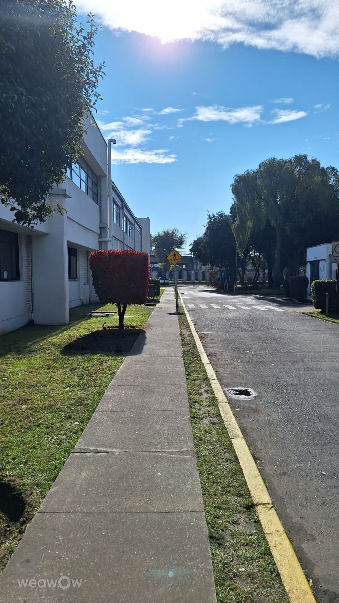 Fotos sobre el clima en Chile. Pronósticos del tiempo con hermosas fotos de Skrik