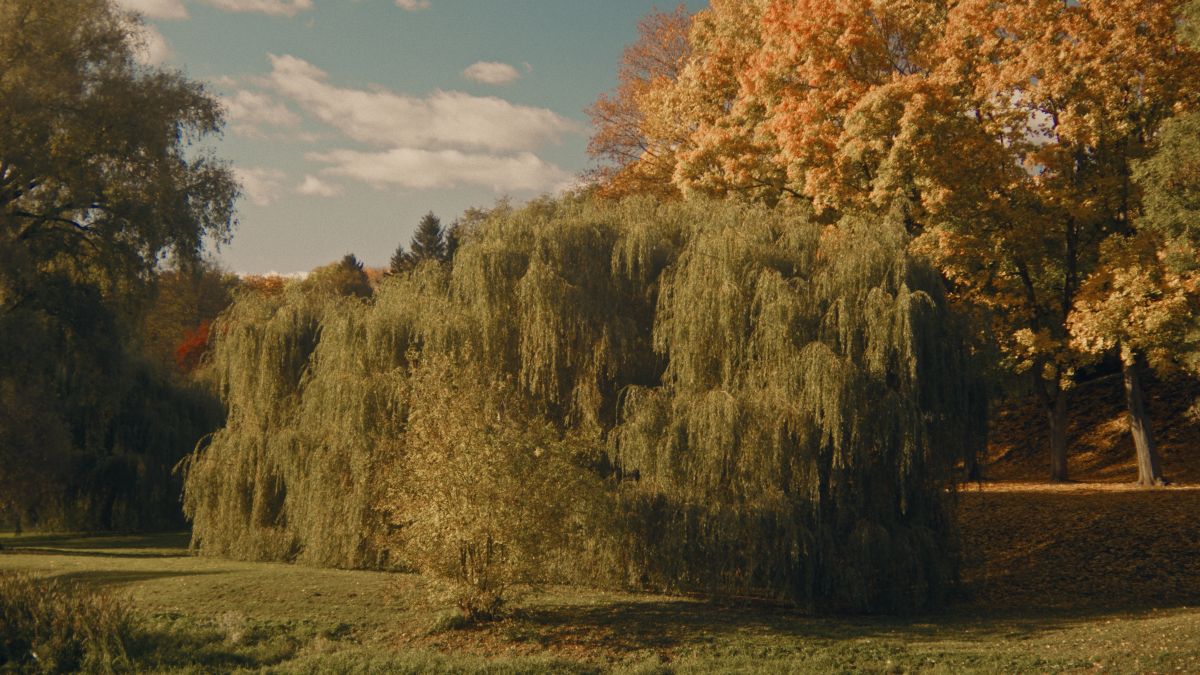 Фотографии Погоды в Brest. Прогнозы погоды с чудесными фотографиями, сделанными RuslanLeuliukh