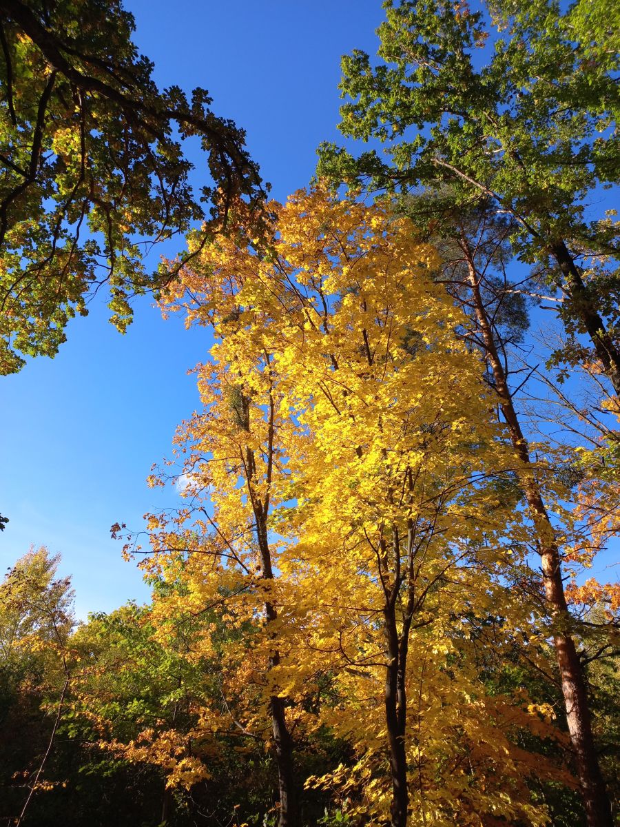 Фотографии Погоды в Фастов. Прогнозы погоды с чудесными фотографиями, сделанными teplota