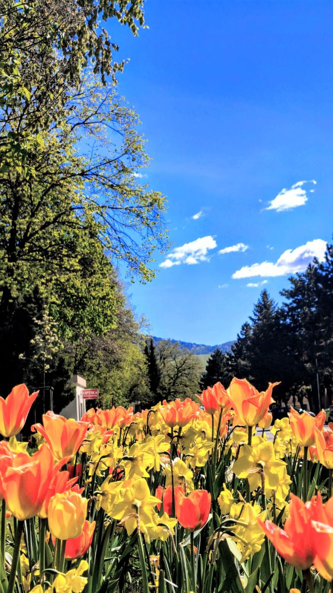 Fotos sobre el clima en Lipany. Pronósticos del tiempo con hermosas fotos de erik76b