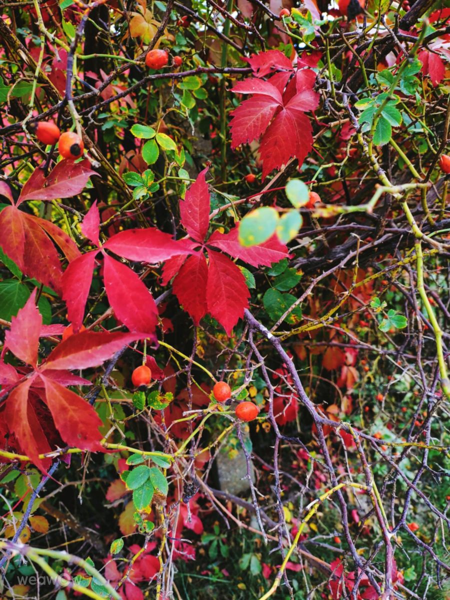 Фотографии Погоды в Ломжа. Прогнозы погоды с чудесными фотографиями, сделанными Ania-12
