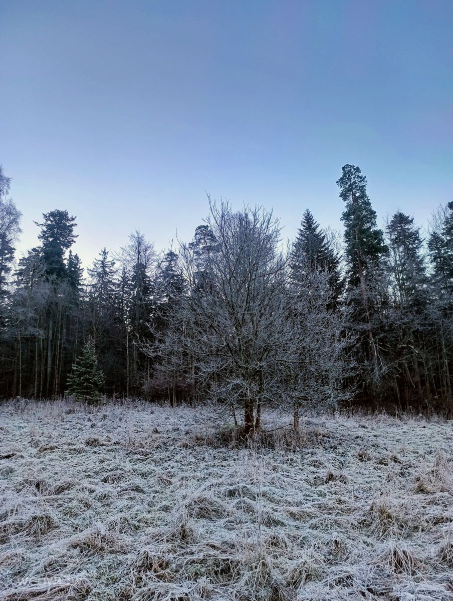 Photograph Kripo, Wetter Photos Ladek Zdroj - Weawow