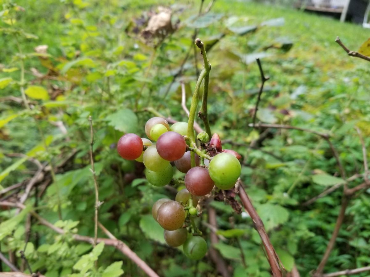 肯塔基州的天气照片. 天气预报，带Twila Darlene Simmons精美的照片