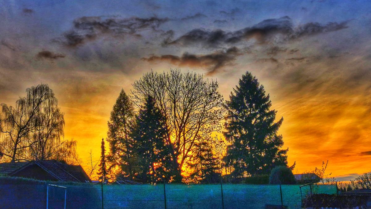 天气预报，带George Popo精美的照片