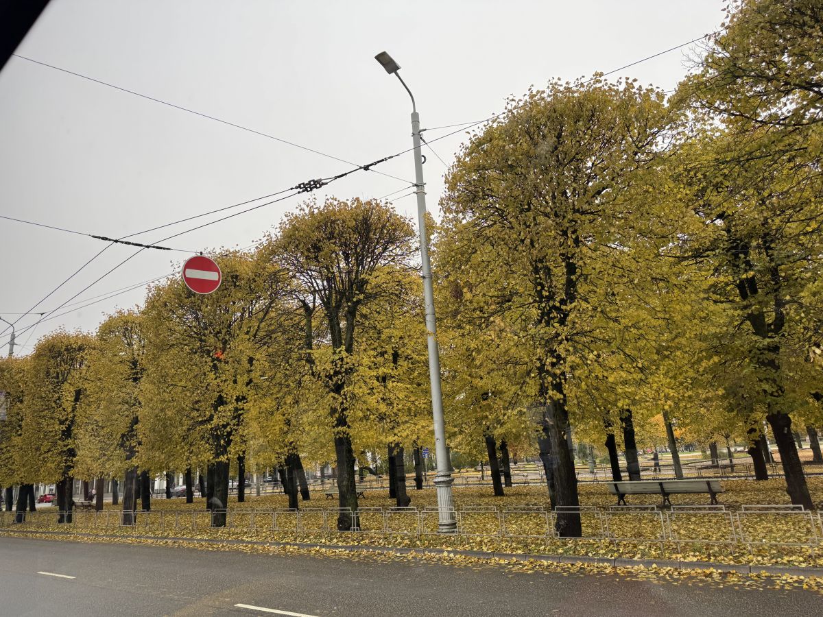 Weather Photos in Rīga. Weather forecasts with beautiful photos by Svet-Lana