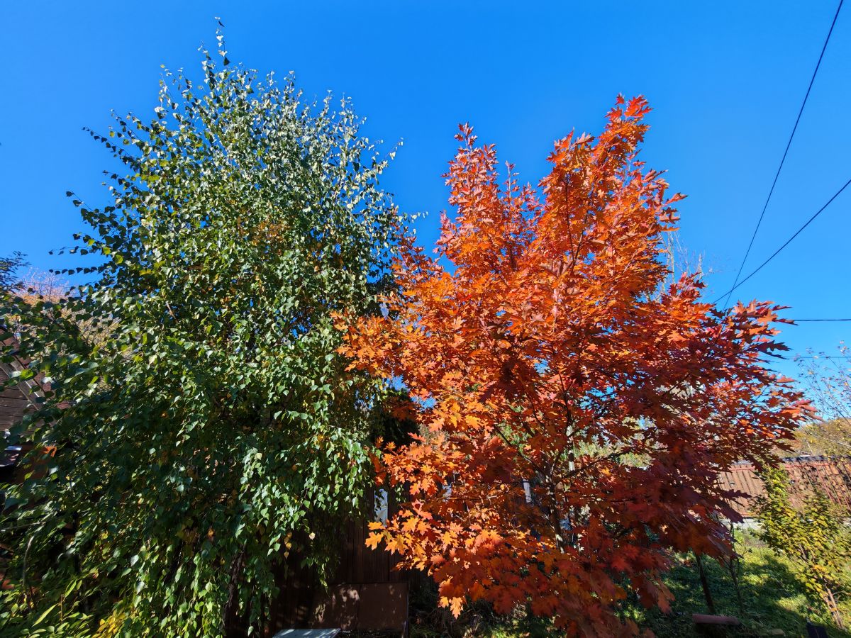 Weather Photos in Prahova. Weather forecasts with beautiful photos by Bley64