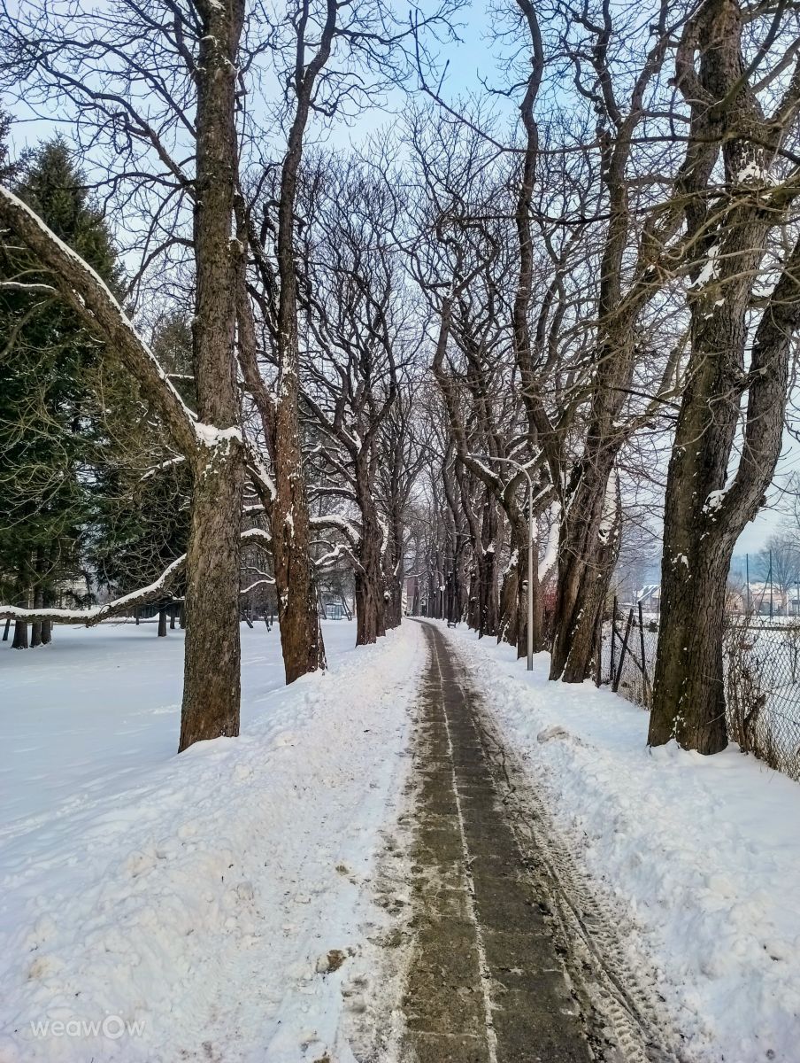 Wetter Photos Ladek Zdroj. Wettervorhersagen mit schönen Fotos von Kripo