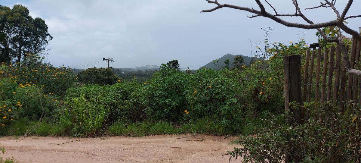 Fotógrafo catiams, Fotos sobre el clima en Praia do Rosa - Weawow