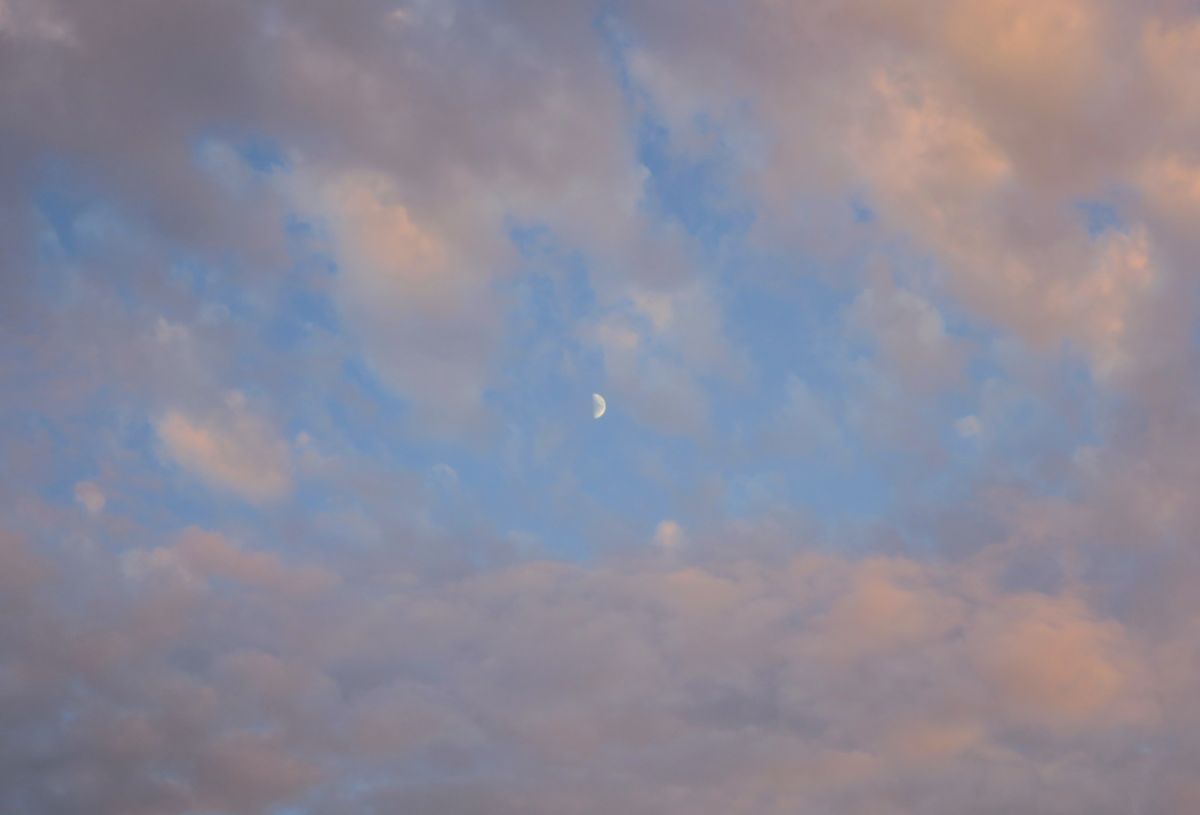 Weather Photos in Batumi. Weather forecasts with beautiful photos by peony-lover