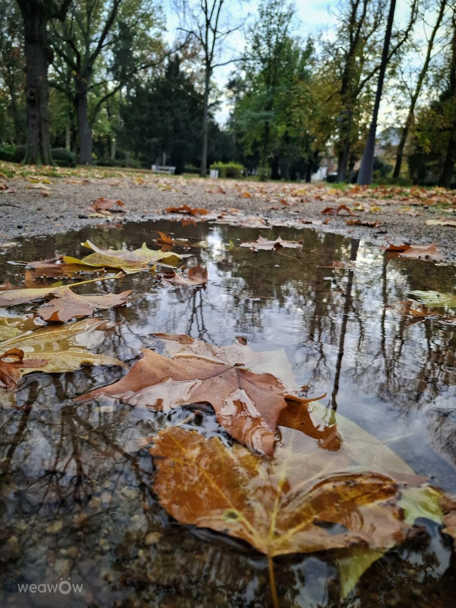 Weather forecasts with beautiful photos by Aleksandar