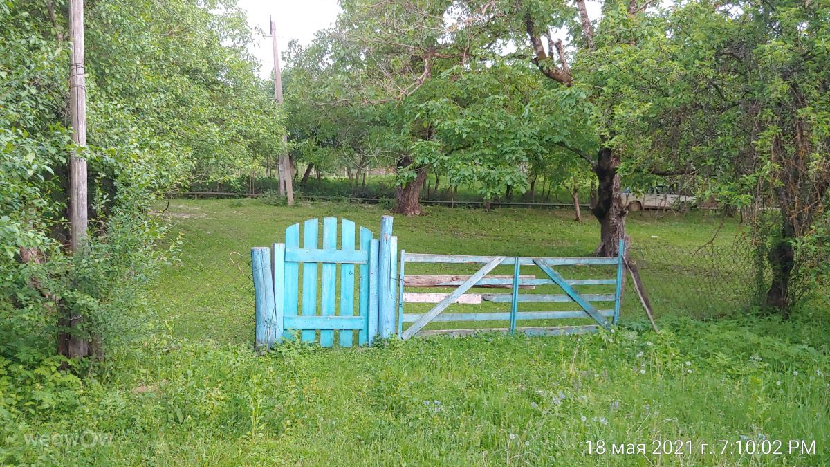 Chechnya的天气照片. 天气预报，带magaregita精美的照片