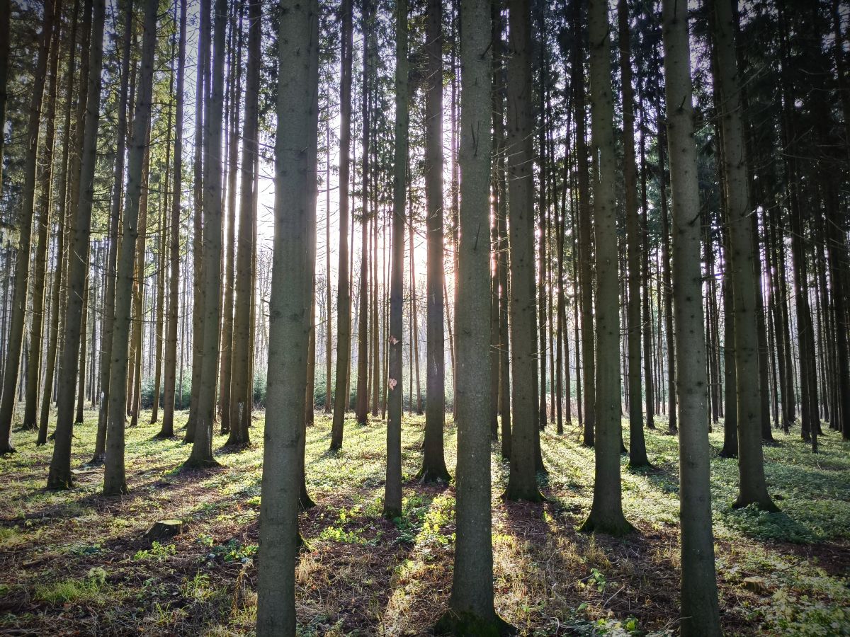 Wetter Photos Tul'skaya Oblast'. Wettervorhersagen mit schönen Fotos von Aleksei
