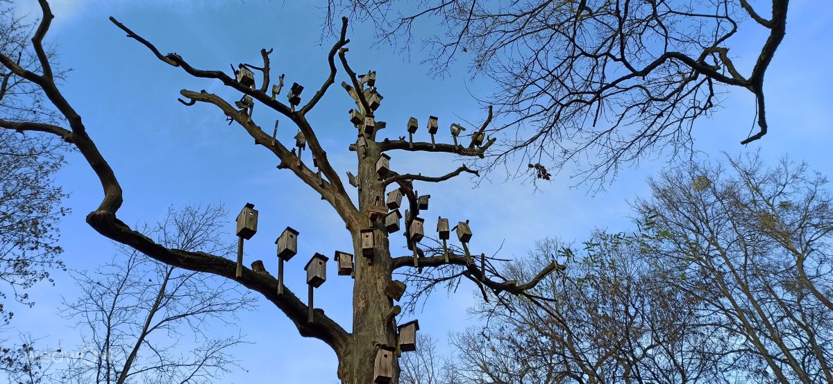 Прогнозы погоды с чудесными фотографиями, сделанными Helo_Sam