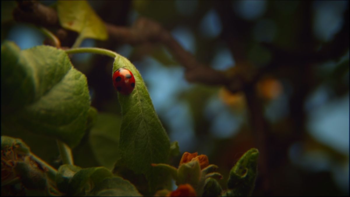 Фотографии Погоды в Brest. Прогнозы погоды с чудесными фотографиями, сделанными RuslanLeuliukh