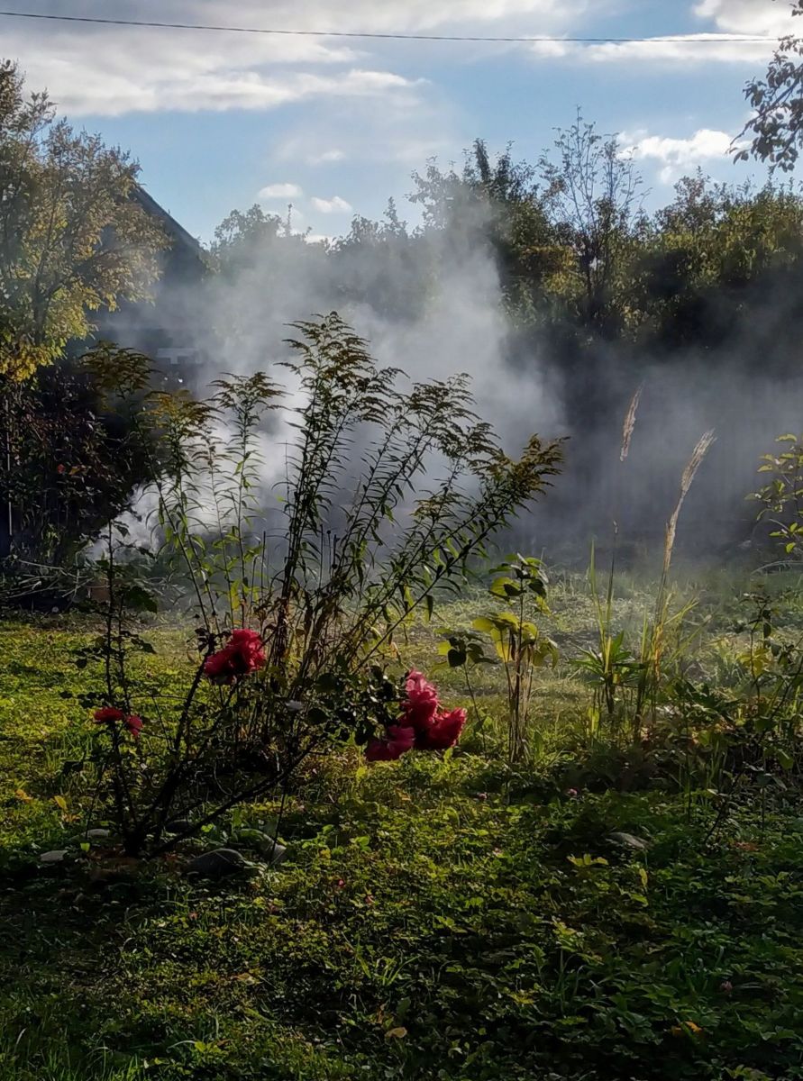 Photos météo à Serpukhov. Prévisions météo avec de superbes photos de 19Lora46