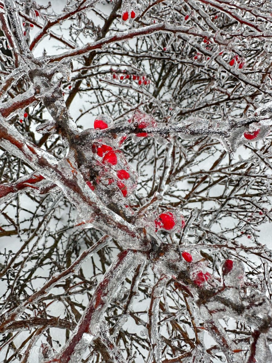 Fotos do tempo em Irpin. Previsões do tempo com lindas fotos de Інна