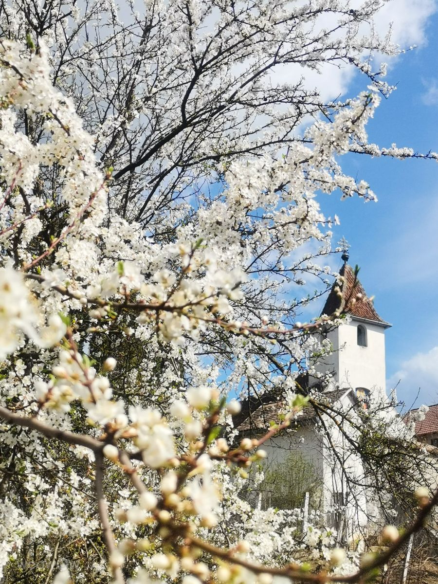 Wetter Photos Agnita. Wettervorhersagen mit schönen Fotos von Miha1308