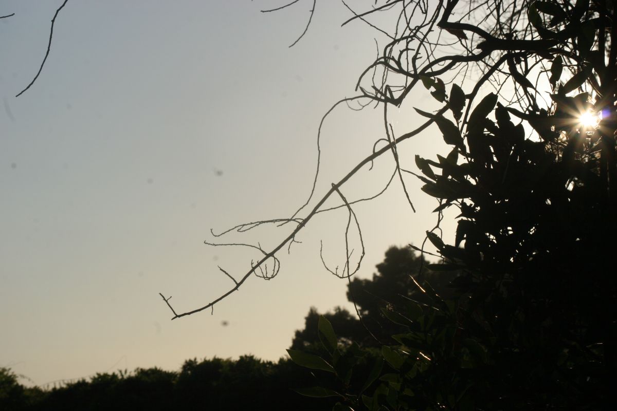 Weather Photos in Montenegro. Weather forecasts with beautiful photos by BojanMJ