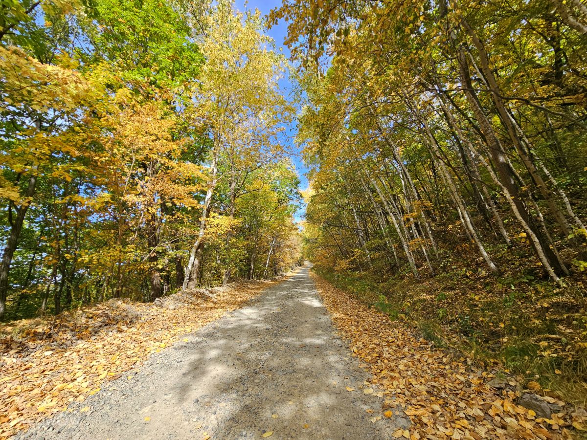 摄影师 ImPe，Arsen'yev的天气照片 - Weawow