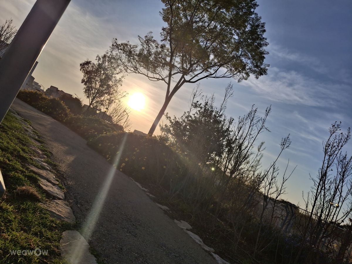 Weather Photos in Israel. Weather forecasts with beautiful photos by Moriya Koral