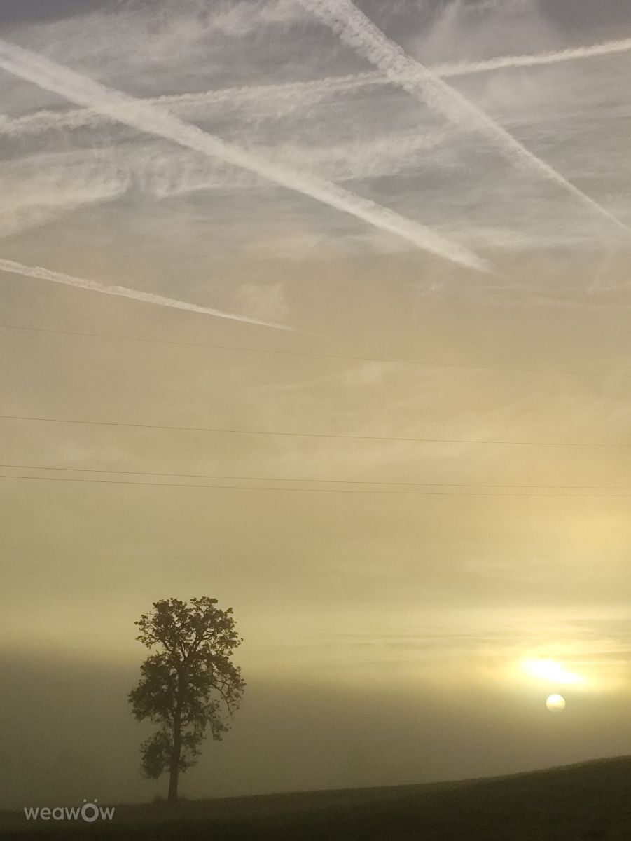 Weather Photos in Allersberg. Weather forecasts with beautiful photos by Brtd