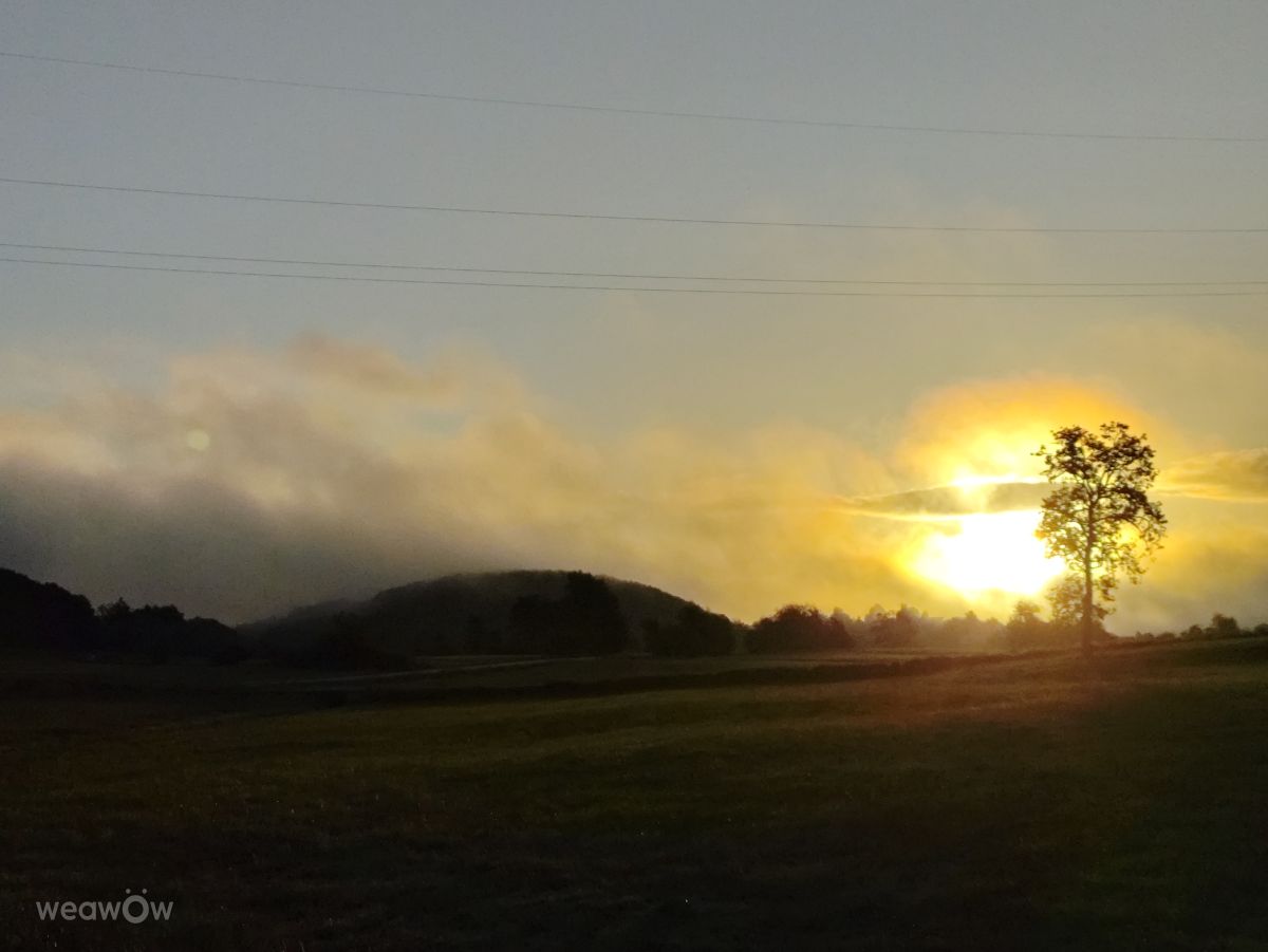 摄影师 Brtd，Allersberg的天气照片 - Weawow