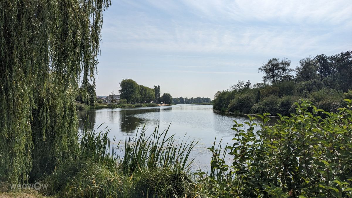 Pińczówの天気写真. yagrの美しい写真による天気予報