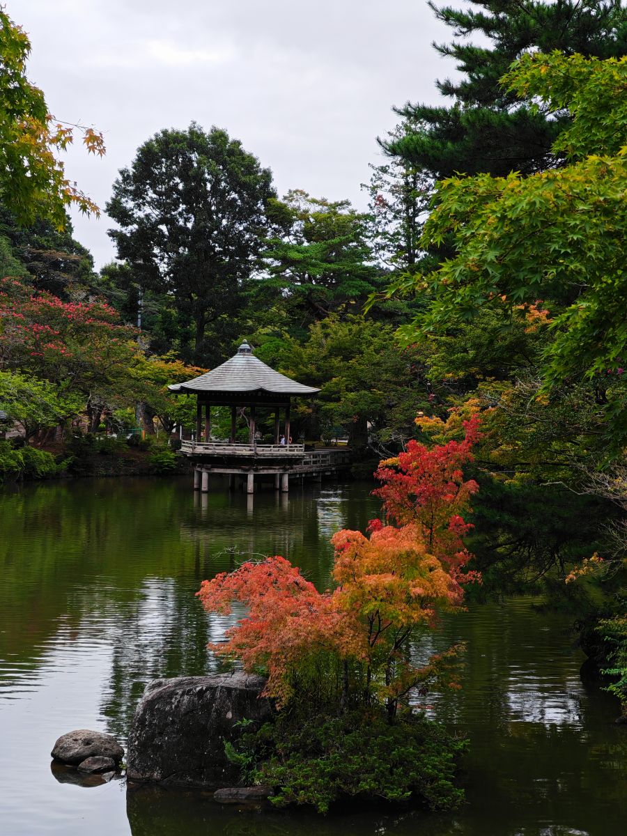 Weather Photos in Chiba. Weather forecasts with beautiful photos by MostlyHarmless