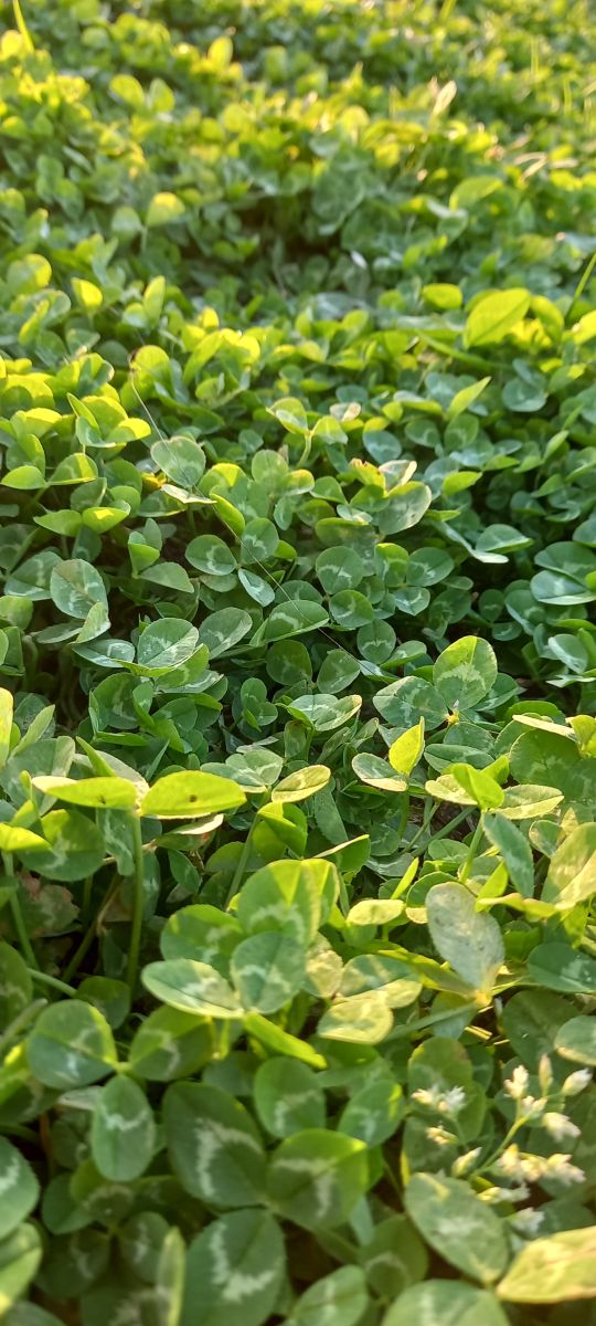 Weather Photos in World. Weather forecasts with beautiful photos by MOR