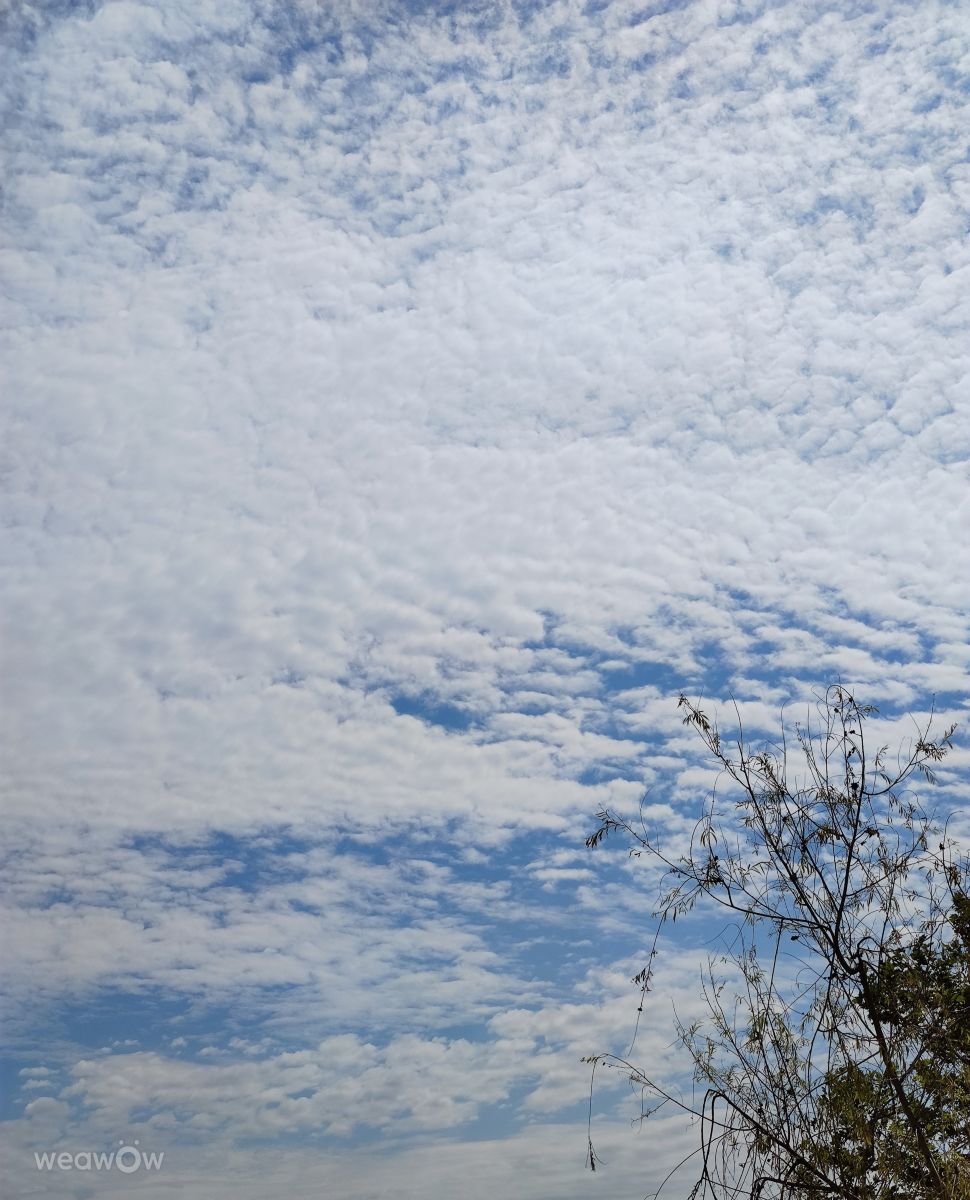 Weather Photos in Hungary. Weather forecasts with beautiful photos by rkinga