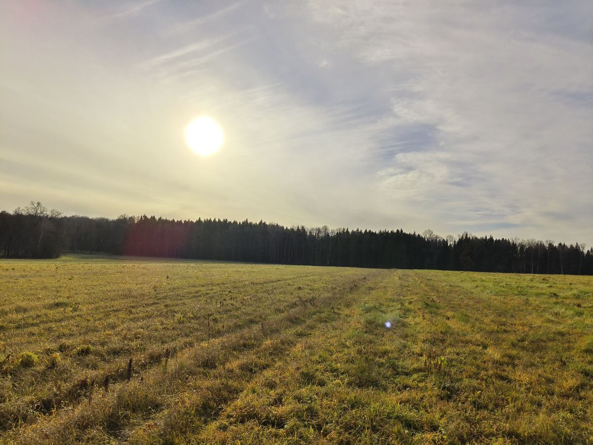 摄影师 Aleksei，Yasnaya Polyana的天气照片 - Weawow