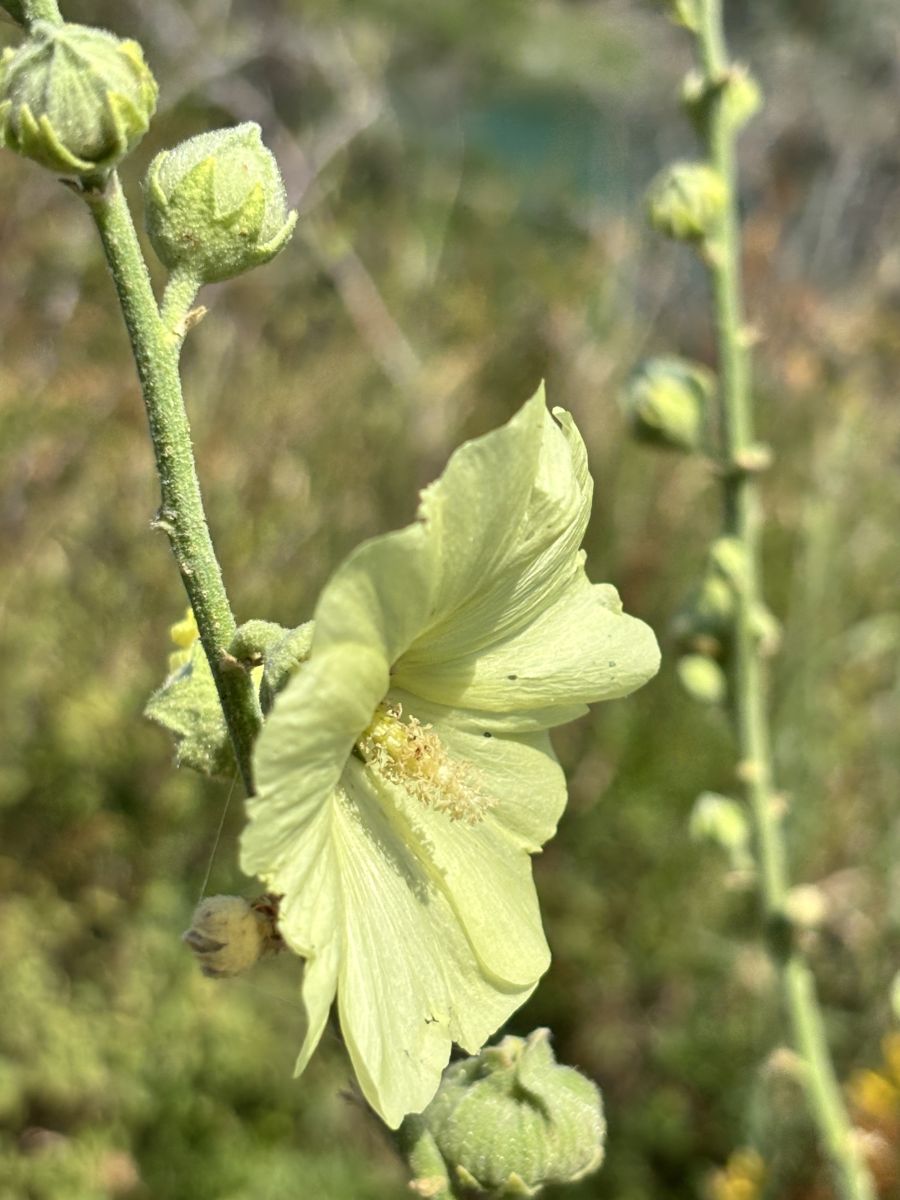 Weather Photos in Georgia. Weather forecasts with beautiful photos by Fred9256