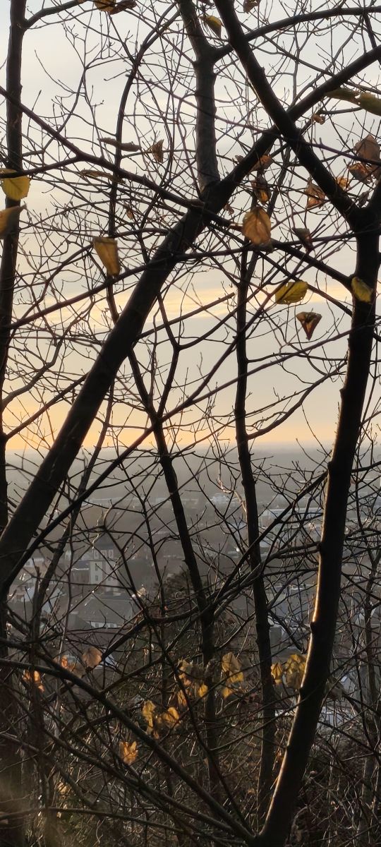 Weather Photos in Ettlingen. Weather forecasts with beautiful photos by Tercis