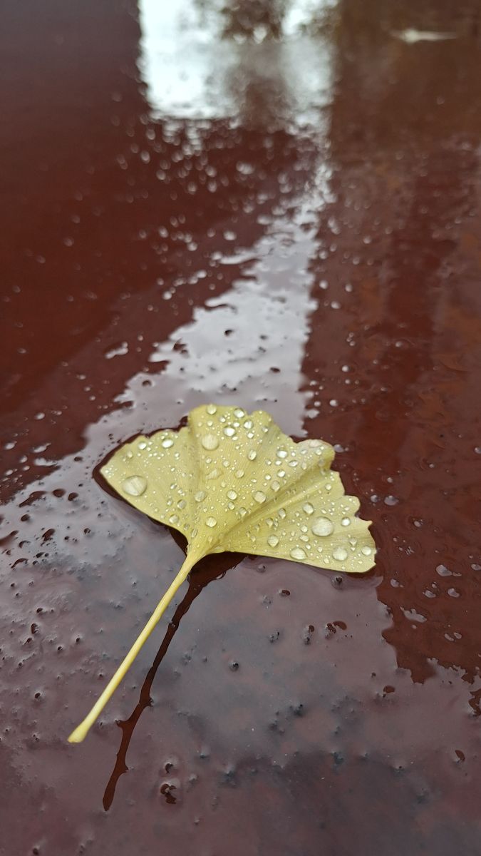 Prévisions météo avec de superbes photos de CrepusculeEd