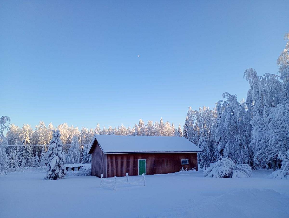 Fotos sobre el clima en Ostrobotnia del Norte. Pronósticos del tiempo con hermosas fotos de Juki