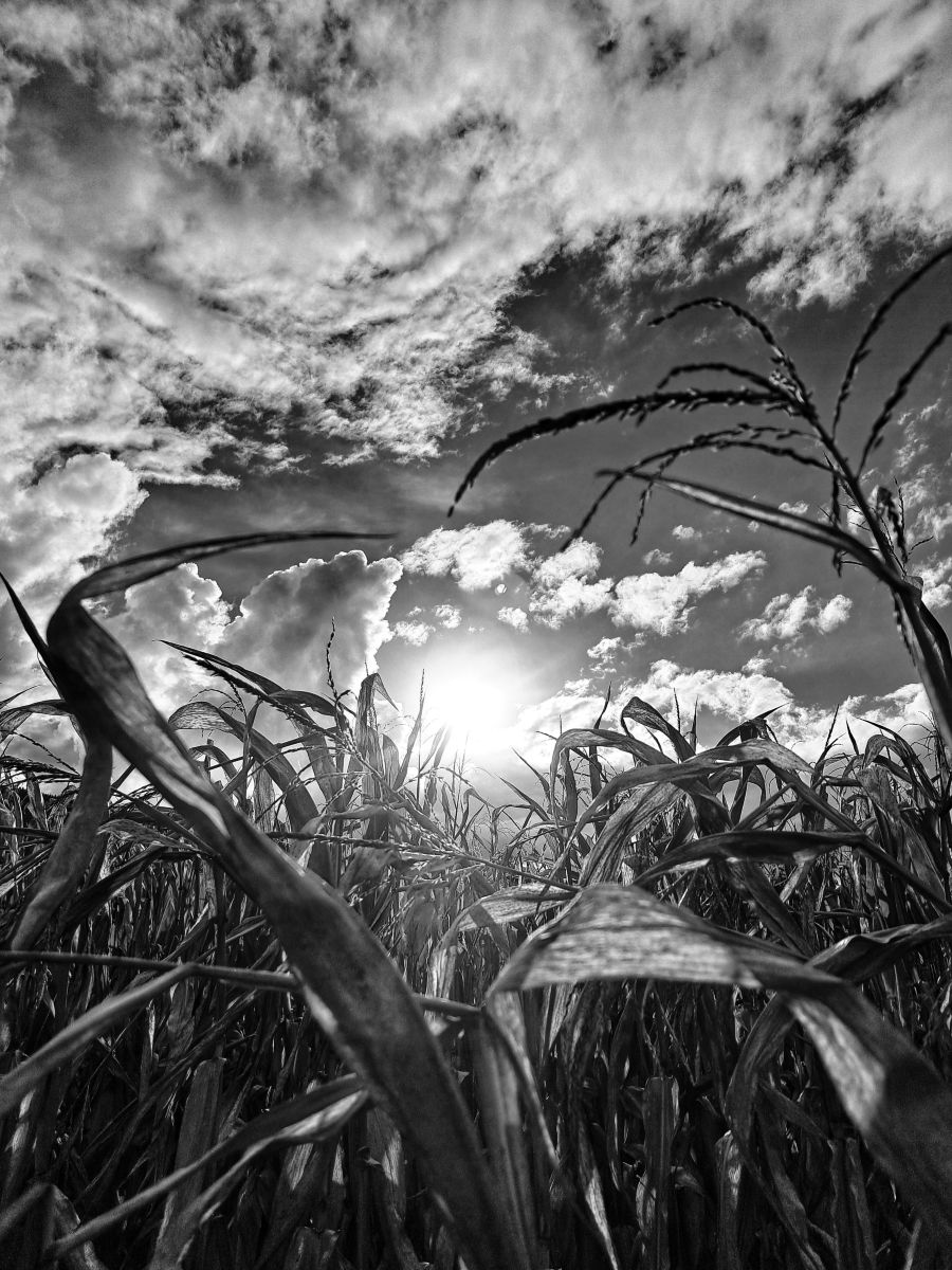 Weather Photos in Villach. Weather forecasts with beautiful photos by Asarii