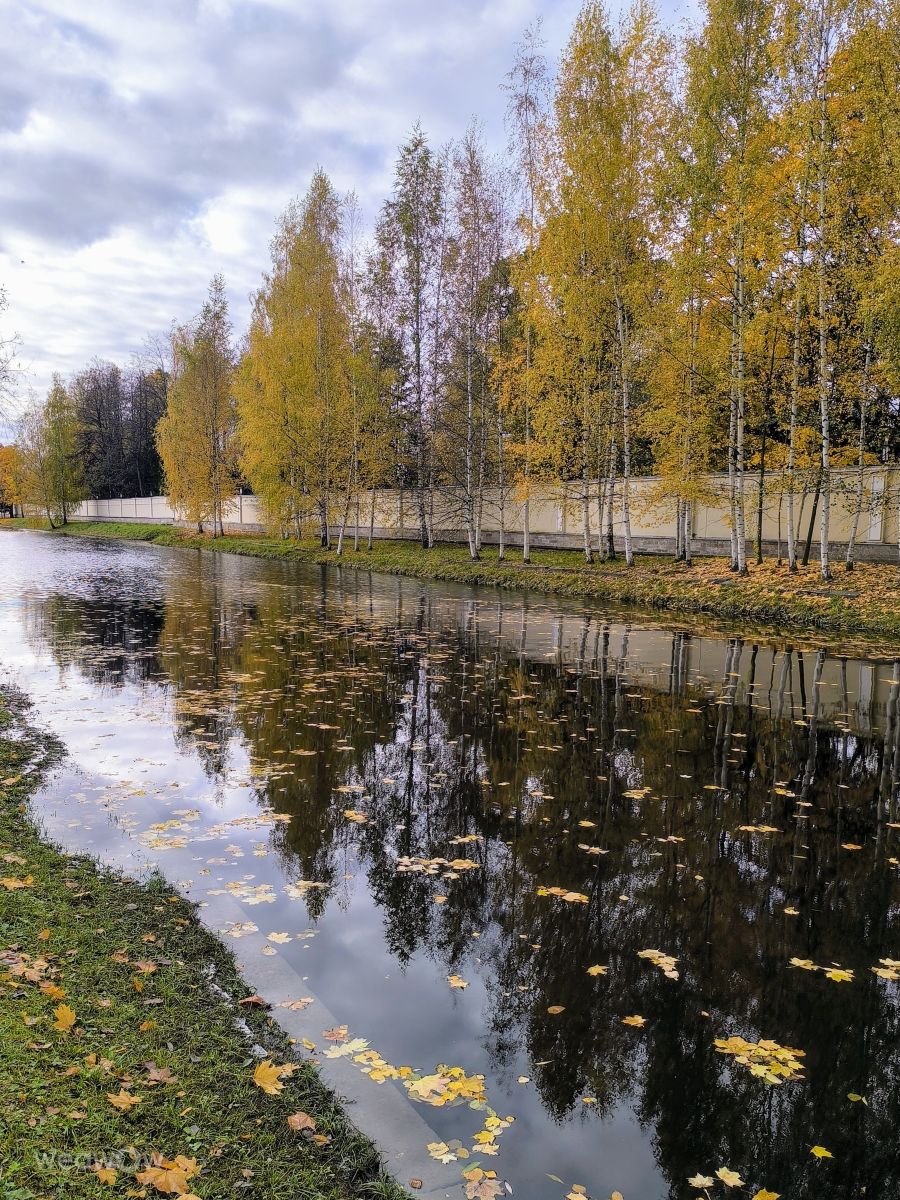 Photographer Jea, Weather Photos in Kamenny Island - Weawow