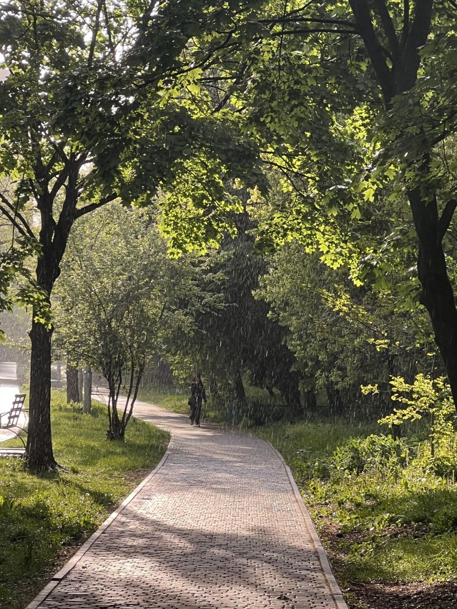 Photographer _veronikatis_, Weather Photos in Kyiv - Weawow