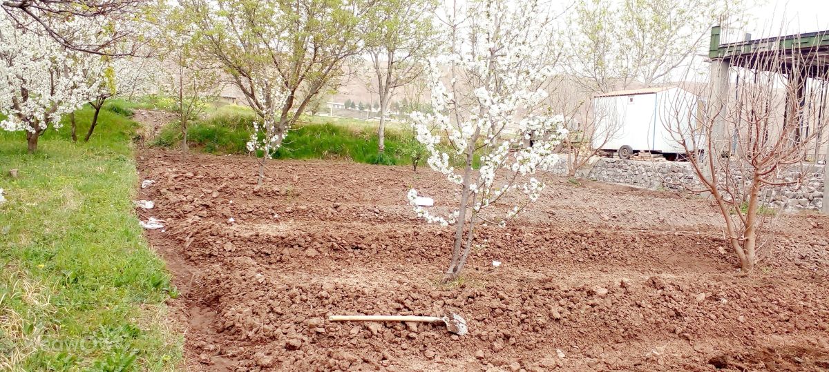 Weather Photos in Qazvin Province. Weather forecasts with beautiful photos by 1barkhordary