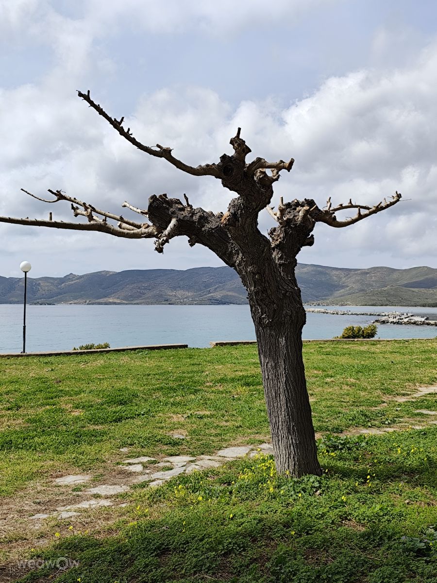 Photos météo à Grèce-Centrale. Prévisions météo avec de superbes photos de XARA