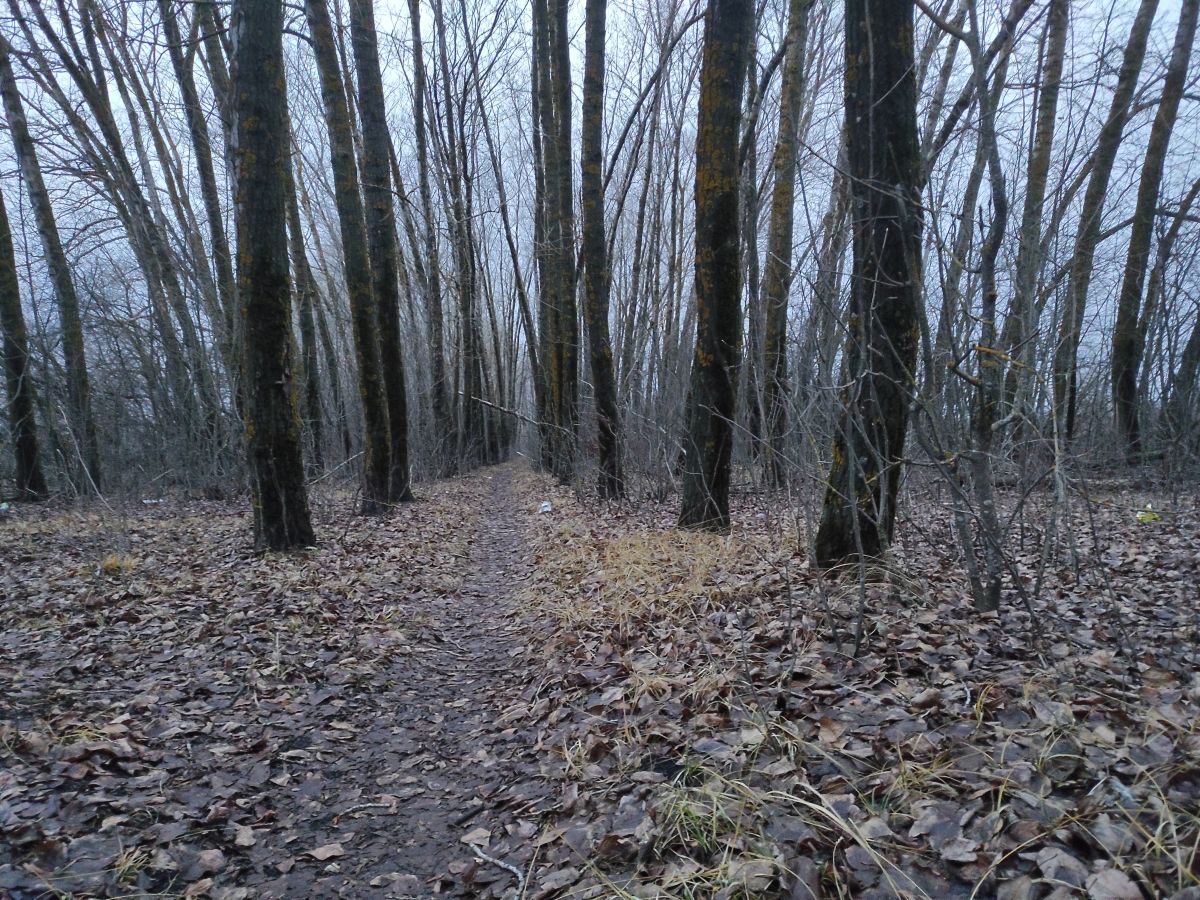 Wetter Photos Mordwinien. Wettervorhersagen mit schönen Fotos von Вильдим