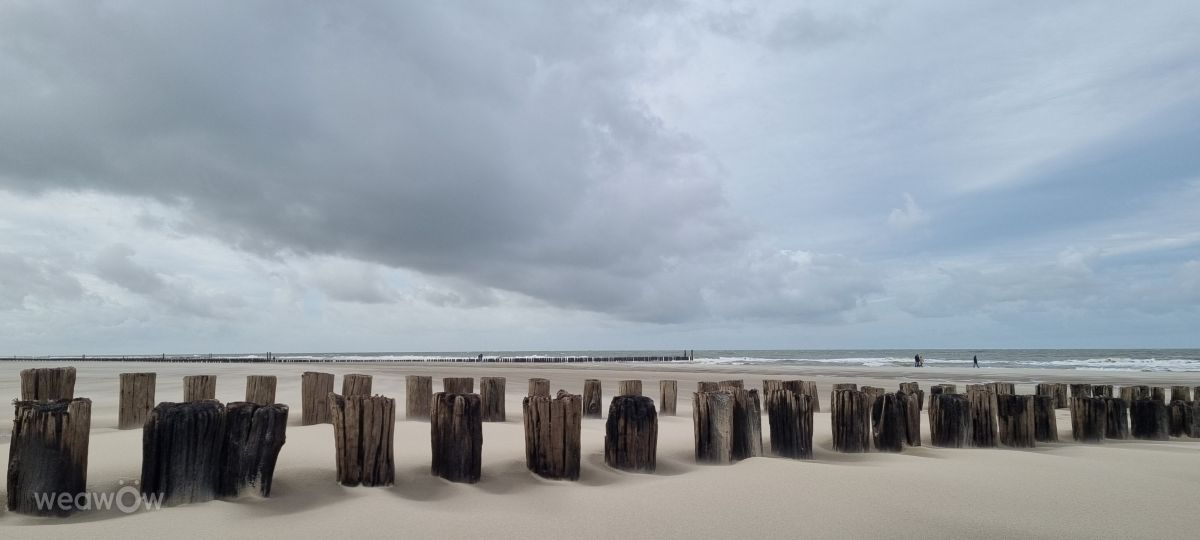 Photographer DaB, Weather Photos in Domburg, Schelpweg - Weawow