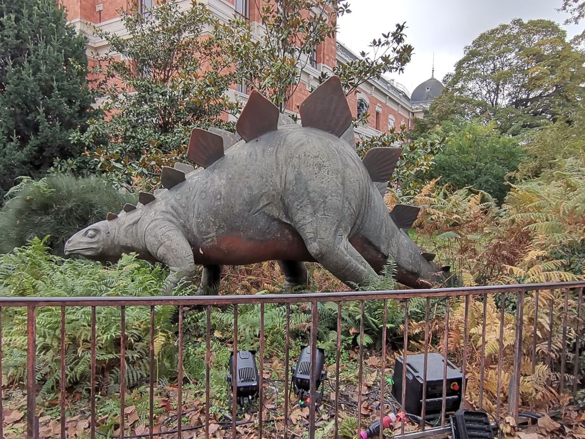 Photographe NikolayPaunchev, Photos météo à 13 Boulevard de l'Hôpital - Weawow
