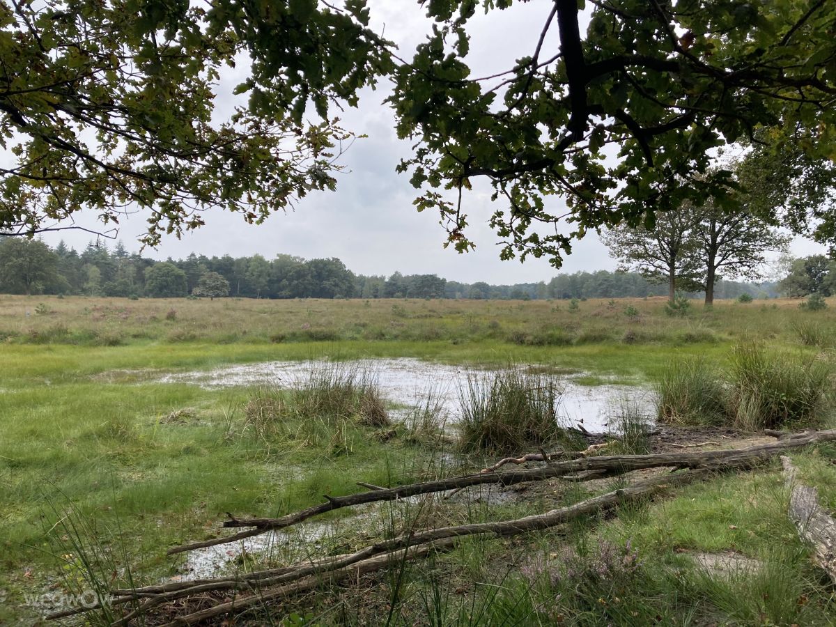 Weather Photos in Hilversum. Weather forecasts with beautiful photos by jux9q4ts