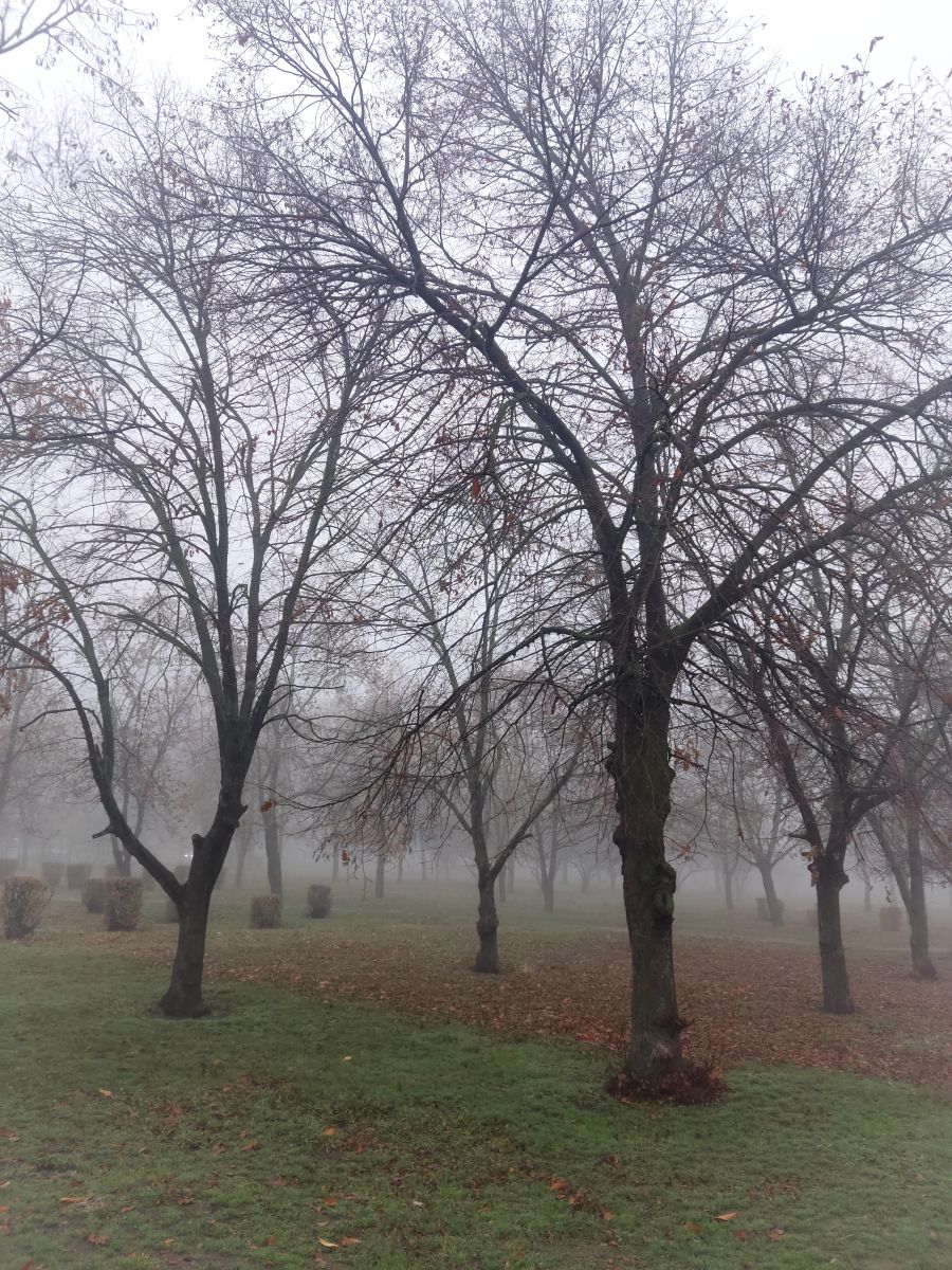 Weather Photos in Dnipropetrovsk. Weather forecasts with beautiful photos by Natal'a Nogtenko