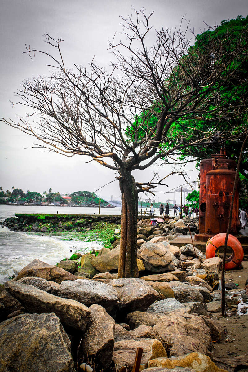 Fotos sobre el clima en Cochín. Pronósticos del tiempo con hermosas fotos de Anan Dhu