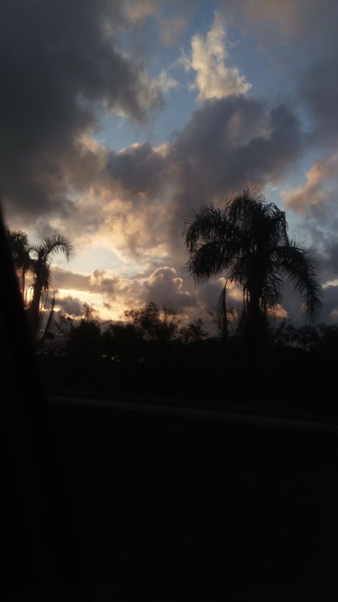 Photograph Ruivodotempo, Wetter Photos Florianópolis - Weawow