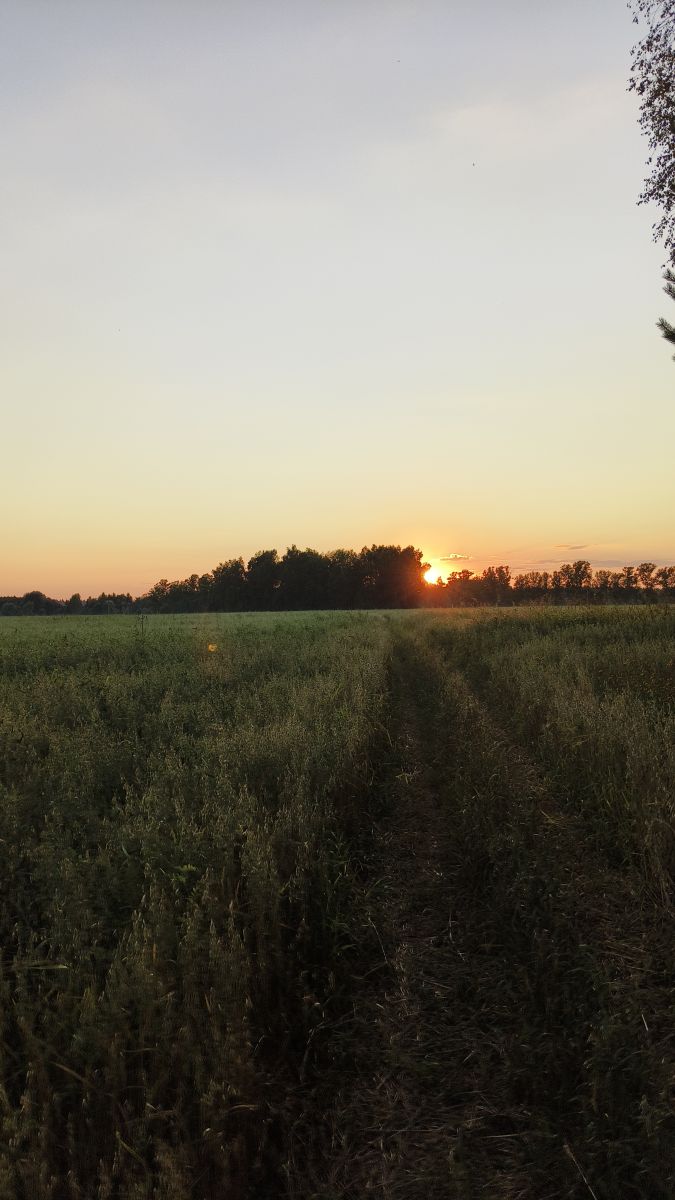 Hình ảnh Thời tiết ở Kaluga Oblast. Dự báo thời tiết với những bức ảnh đẹp của Aleksei